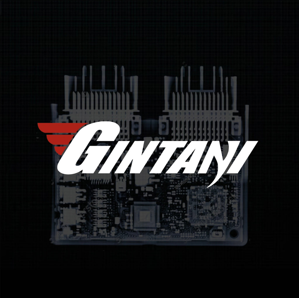 Lamborghini Urus ECU Tune
